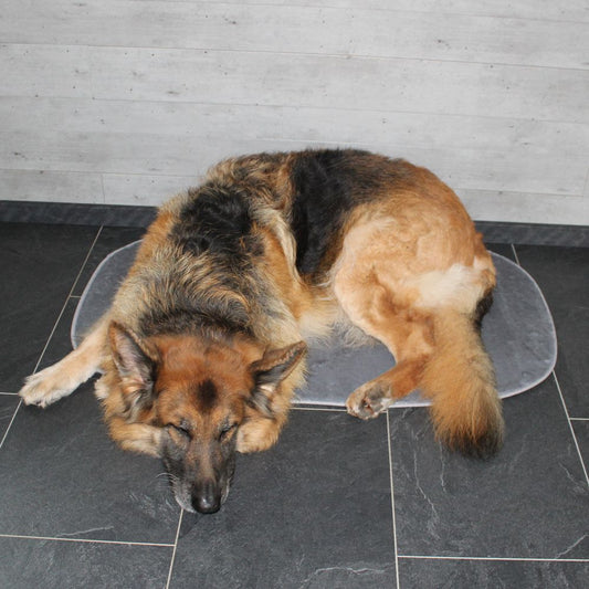 Nobby Liegematte Classic SIAK - hellgrau - Schlafplatz Decke Kissen Hundebett