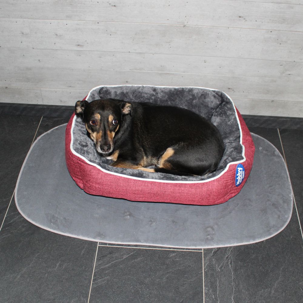 Nobby Liegematte Classic SIAK - hellgrau - Schlafplatz Decke Kissen Hundebett