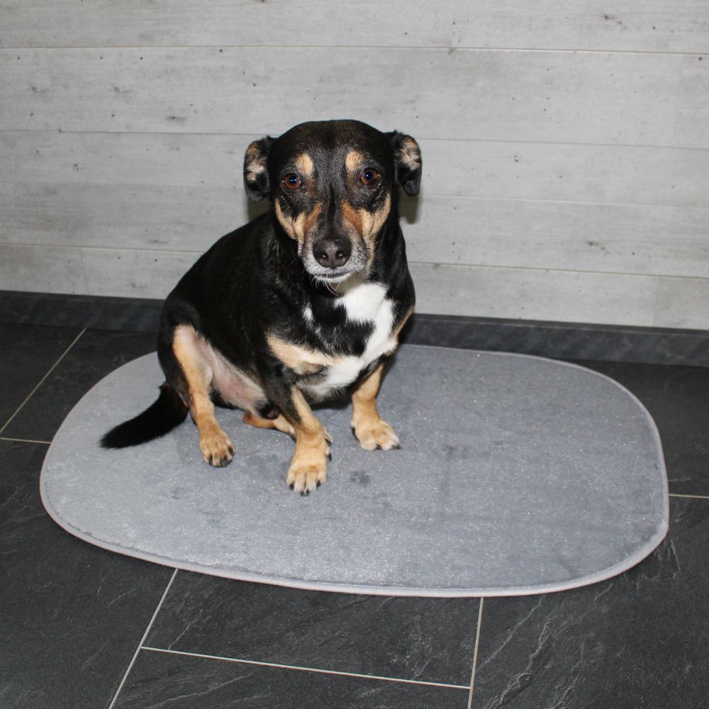 Nobby Liegematte Classic SIAK - hellgrau - Schlafplatz Decke Kissen Hundebett