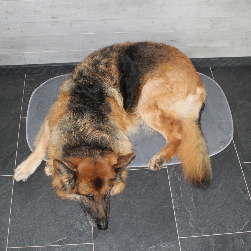 Nobby Liegematte Classic SIAK - hellgrau - Schlafplatz Decke Kissen Hundebett
