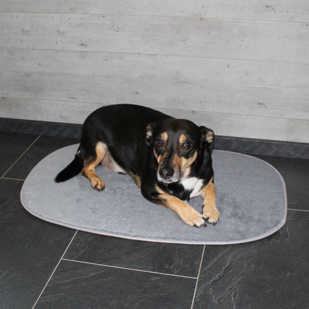 Nobby Liegematte Classic SIAK - hellgrau - Schlafplatz Decke Kissen Hundebett