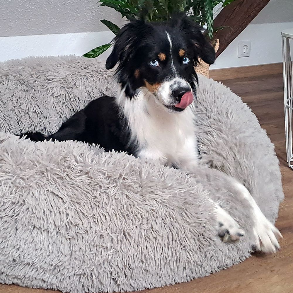 Nobby Donut Classic ESLA - 50 + 70 cm rund - Schlafplatz Decke Kissen Hundebett