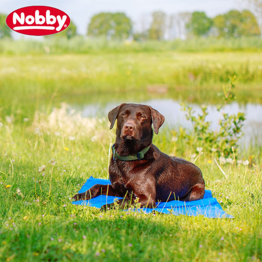 Nobby Kühlmatte BASIC - Kühldecke/Kühlkissen Abkühlung für Hunde und Katzen Gel