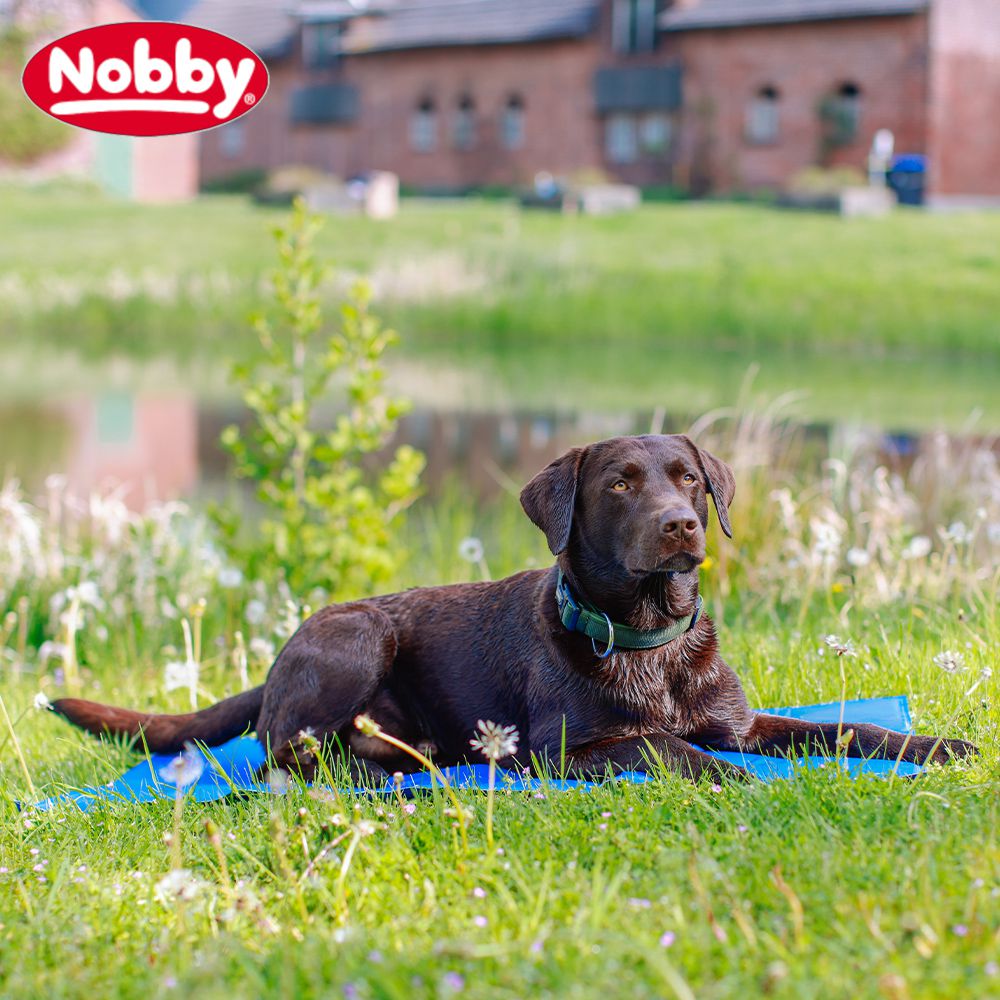 Nobby Kühlmatte BASIC - Kühldecke/Kühlkissen Abkühlung für Hunde und Katzen Gel