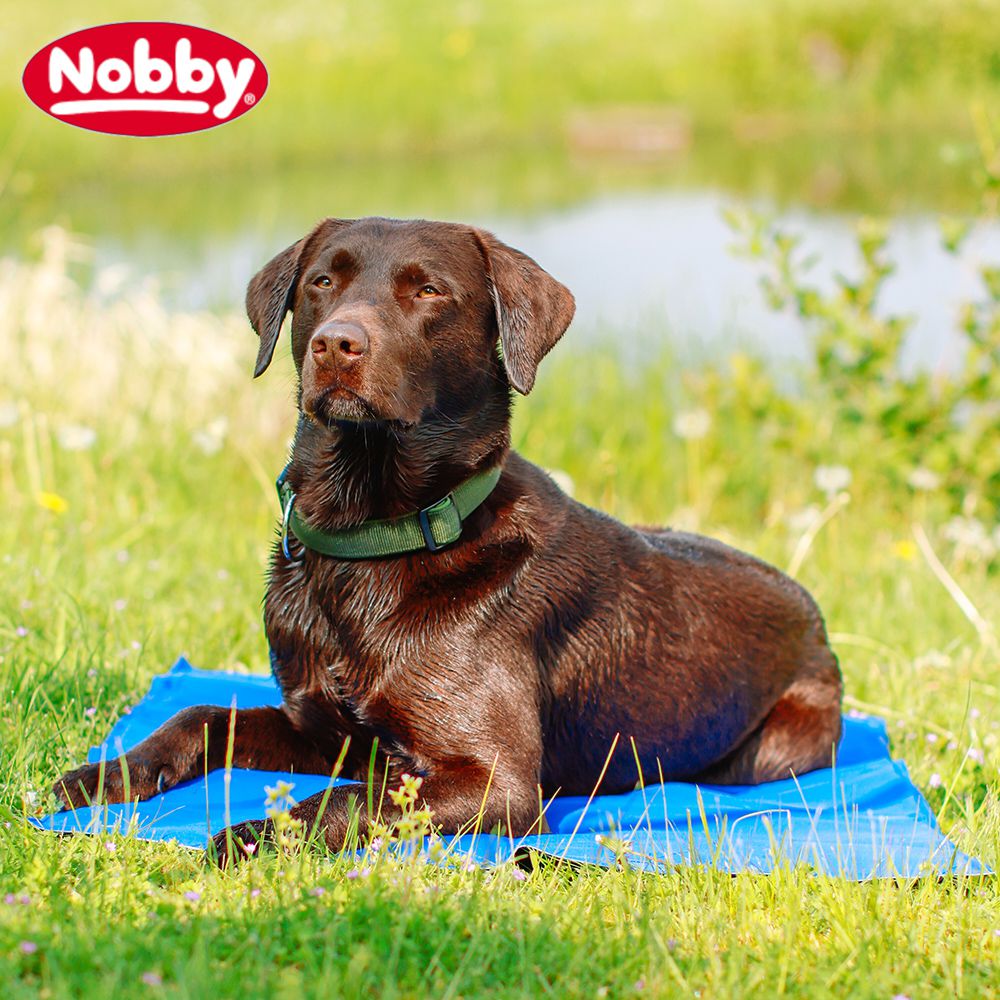 Nobby Kühlmatte BASIC - Kühldecke/Kühlkissen Abkühlung für Hunde und Katzen Gel