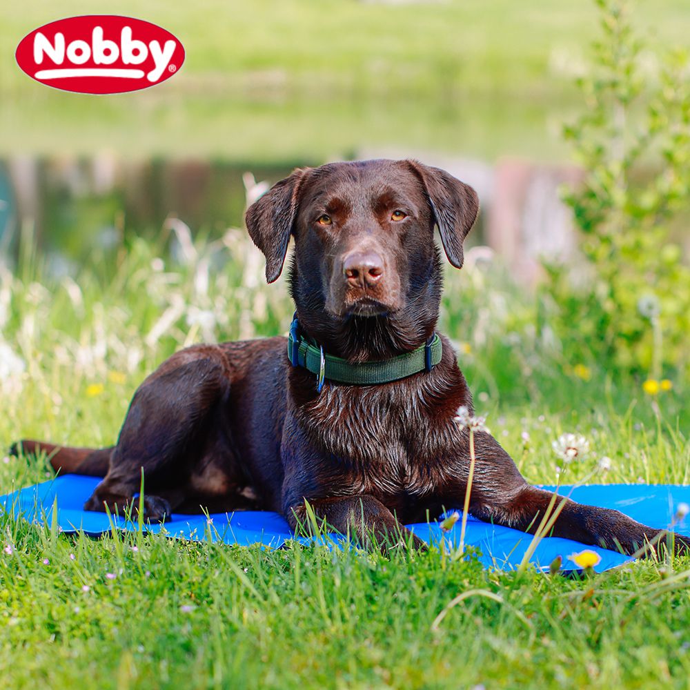 Nobby Kühlmatte BASIC - Kühldecke/Kühlkissen Abkühlung für Hunde und Katzen Gel