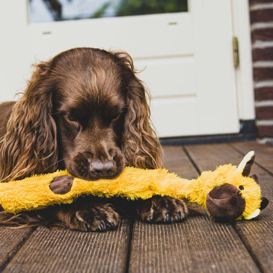 Nobby Plüsch-Hundespielzeug - innen mit Seil - Zerrspiel Kauspiel quitscht