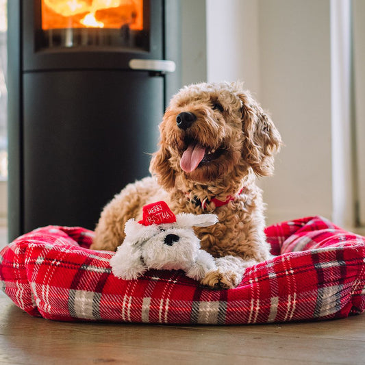 Nobby XMAS Plüsch-Hundespielzeug Hund SCHLAPPI - 28+42 cm Plüschtier Kuscheltier