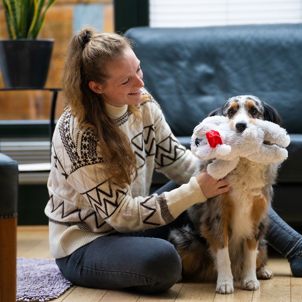 Nobby XMAS Plüsch-Hundespielzeug Hund SCHLAPPI - 28+42 cm Plüschtier Kuscheltier