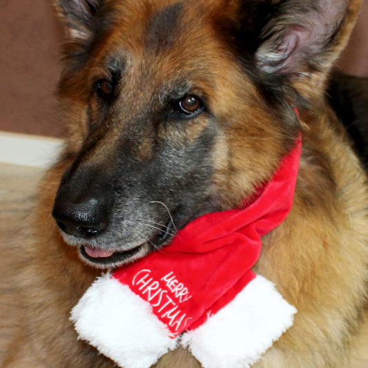 Nobby XMAS Plüsch-Schal für Hunde - 45/65/85 cm - Weihnachtsschal Hundeschal