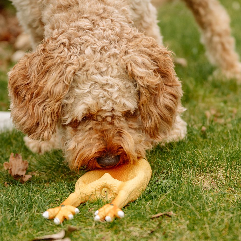 Nobby Hundespielzeug HÄHNCHEN - Latex Hahn Huhn - Spiel für Hund - quitscht