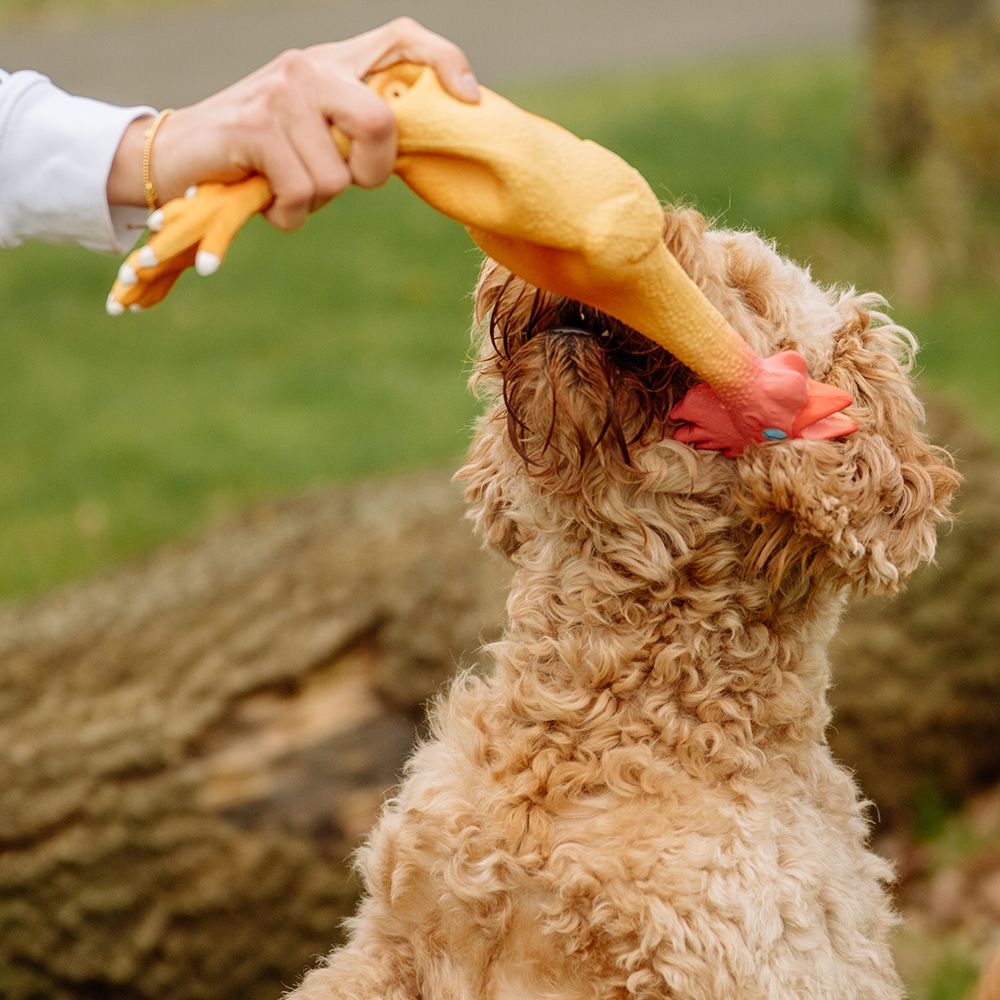 Nobby Hundespielzeug HÄHNCHEN - Latex Hahn Huhn - Spiel für Hund - quitscht