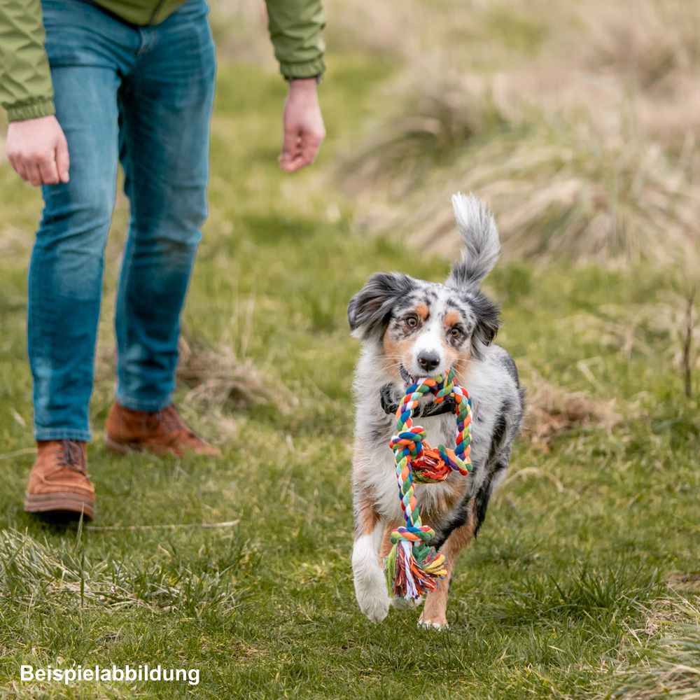 Nobby Spielseil ROPE TOY - Zerrspiel Zahnpflege Knotenseil Apportierspielzeug