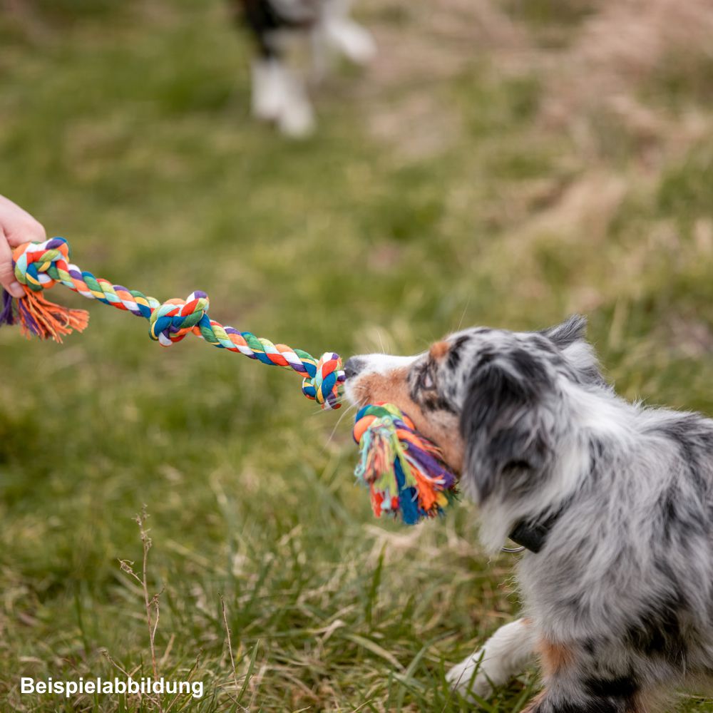 Nobby Spielseil ROPE TOY - Zerrspiel Zahnpflege Knotenseil Apportierspielzeug