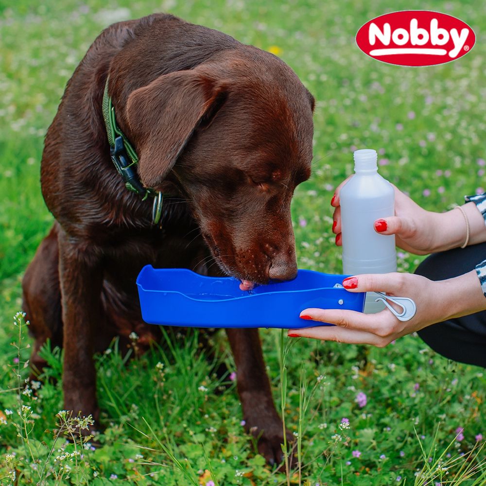 Nobby Reise-Trinkwasserflasche - Wassernapf Reisenapf Wasservorrat unterwegs