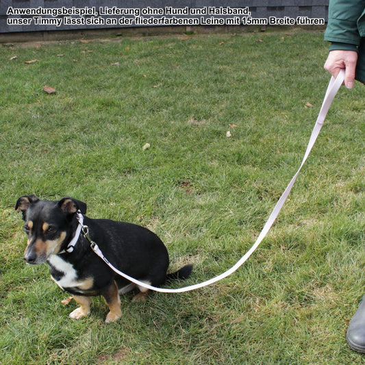 Nobby Leine CLASSIC 120 cm lang - 10/15/20/25 mm breit - Nylon Hundeleine 1,2 m