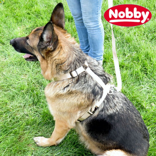 Nobby Geschirr CLASSIC beige XXS/XS/S/M/L/XL - Nylon Hundegeschirr Brustgeschirr