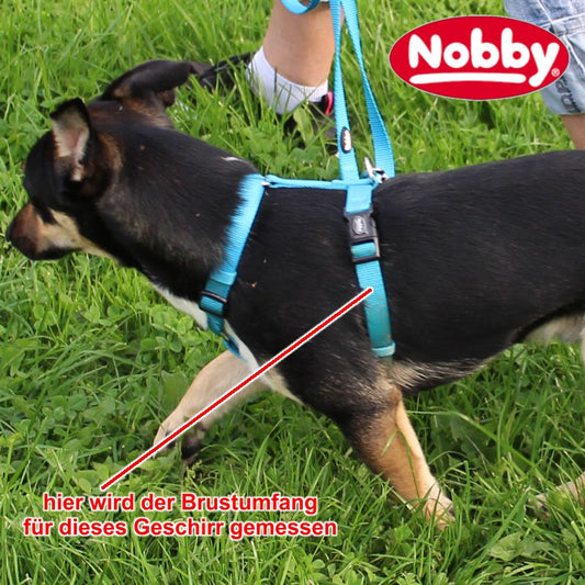 Nobby Geschirr CLASSIC XXS/XS-S/S-M/M-L/L-XL alle Farben - Nylon Hundegeschirr