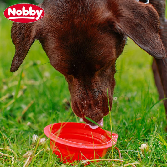 Nobby Silikon Reisenapf - faltbar - Futternapf Hundenapf Wassernapf Fressnapf