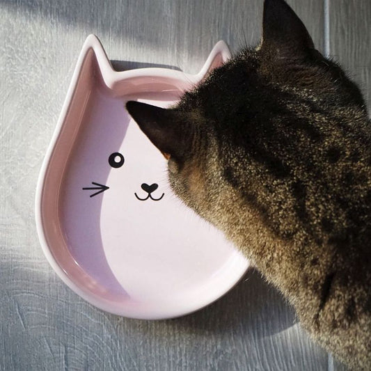 Nobby Keramik-Schale KITTY FACE für Katzen - Milchschale Futternapf Fressnapf