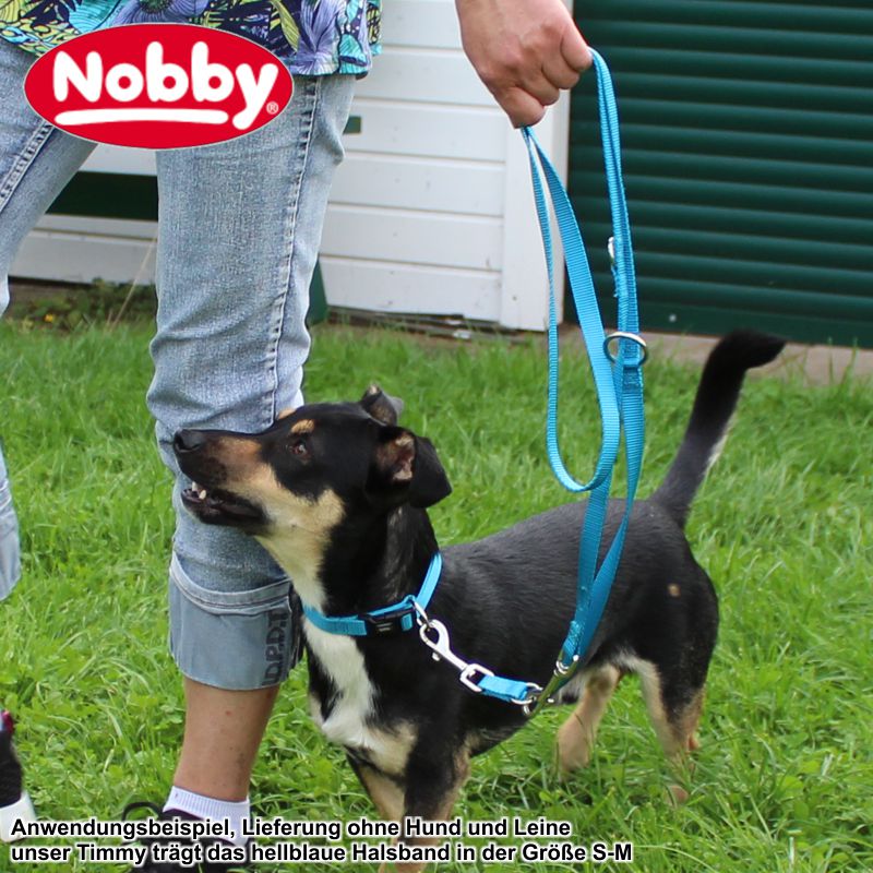 Nobby Halsband CLASSIC XXS/XS-S/S-M/M-L/L-XL alle Farben - Nylon Hundehalsband