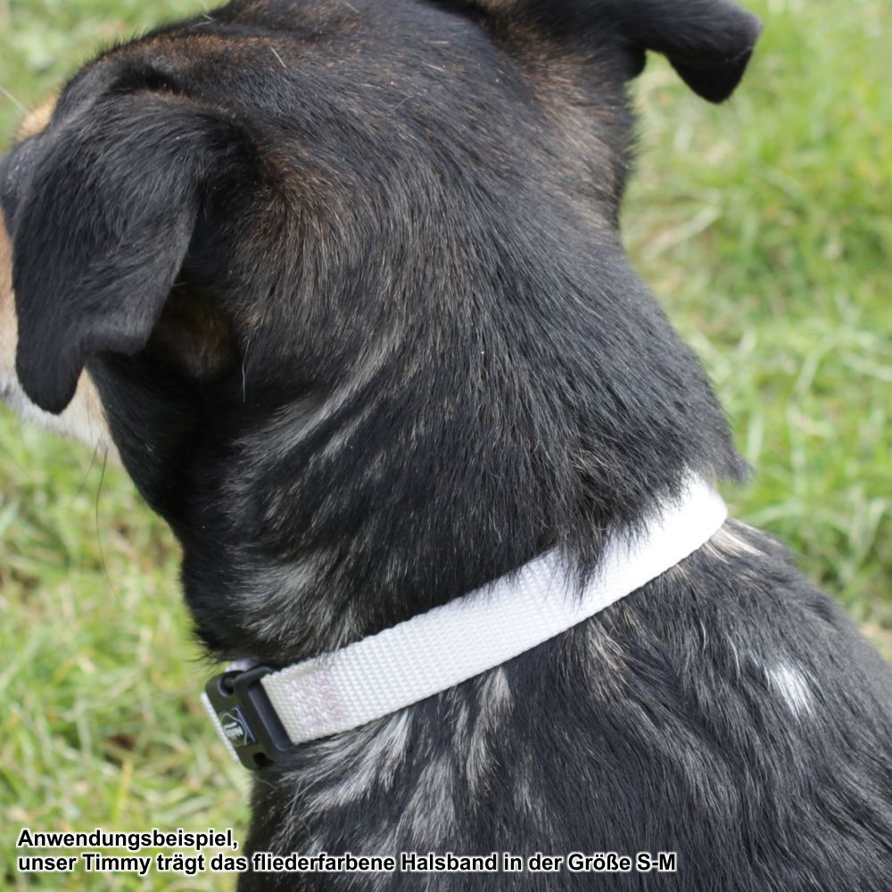 Nobby Halsband CLASSIC XXS/XS-S/S-M/M-L/L-XL alle Farben - Nylon Hundehalsband