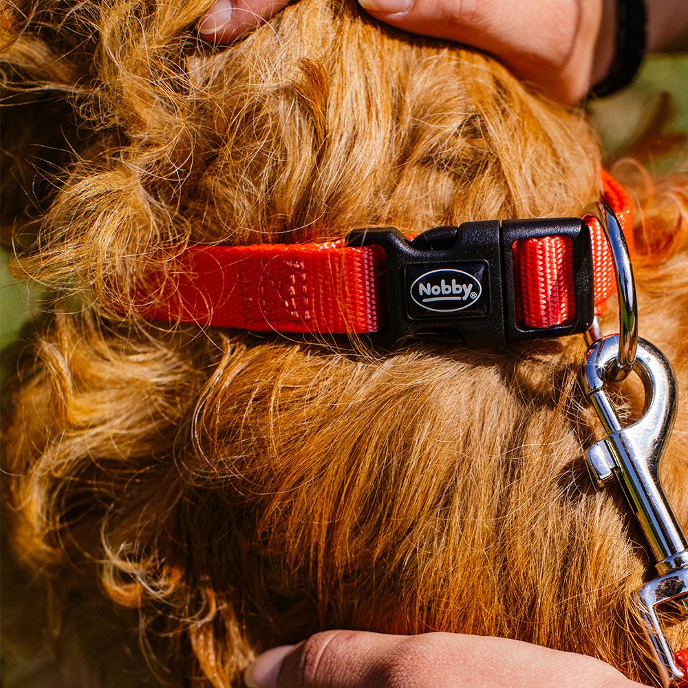 Nobby Halsband CLASSIC XXS/XS-S/S-M/M-L/L-XL alle Farben - Nylon Hundehalsband