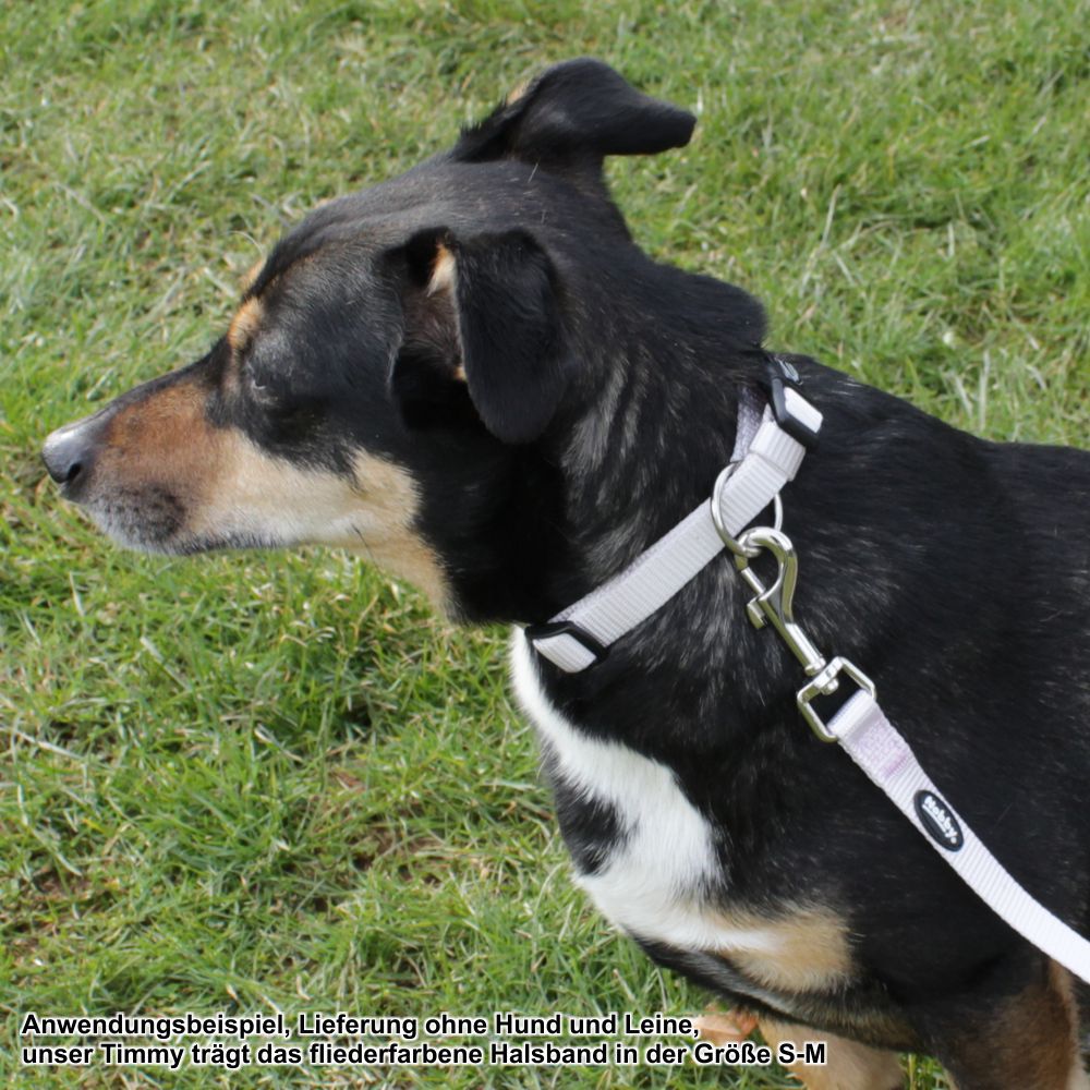 Nobby Halsband CLASSIC XXS/XS-S/S-M/M-L/L-XL alle Farben - Nylon Hundehalsband