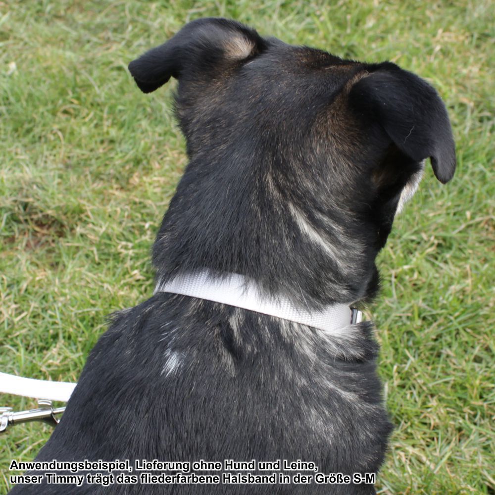 Nobby Halsband CLASSIC XXS/XS-S/S-M/M-L/L-XL alle Farben - Nylon Hundehalsband