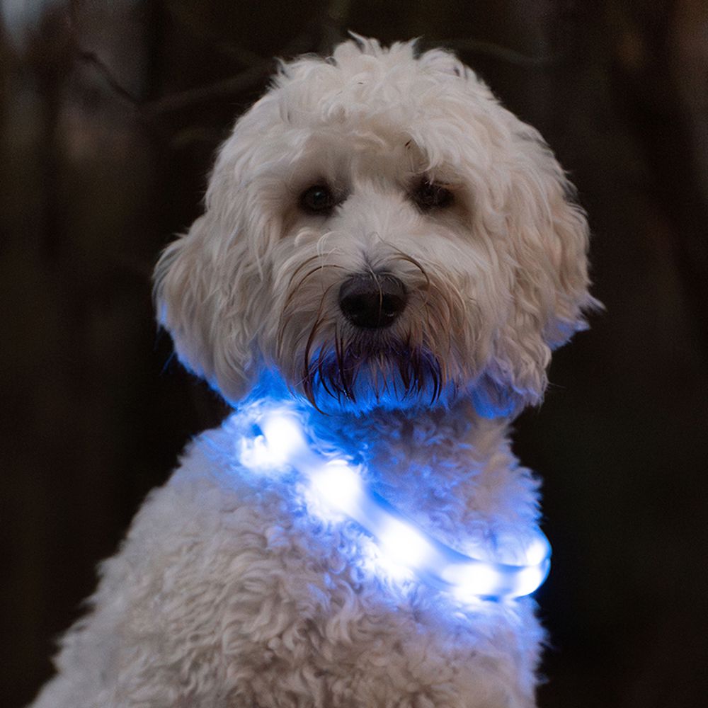 Nobby LED Leuchthalsband VISIBLE - S/M/L - Langhaar - Silikon Leuchtband Hund