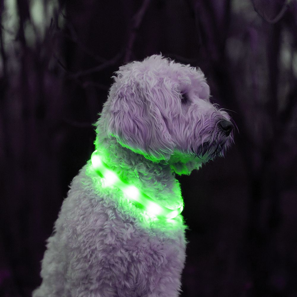 Nobby LED Leuchthalsband VISIBLE - S/M/L - Langhaar - Silikon Leuchtband Hund