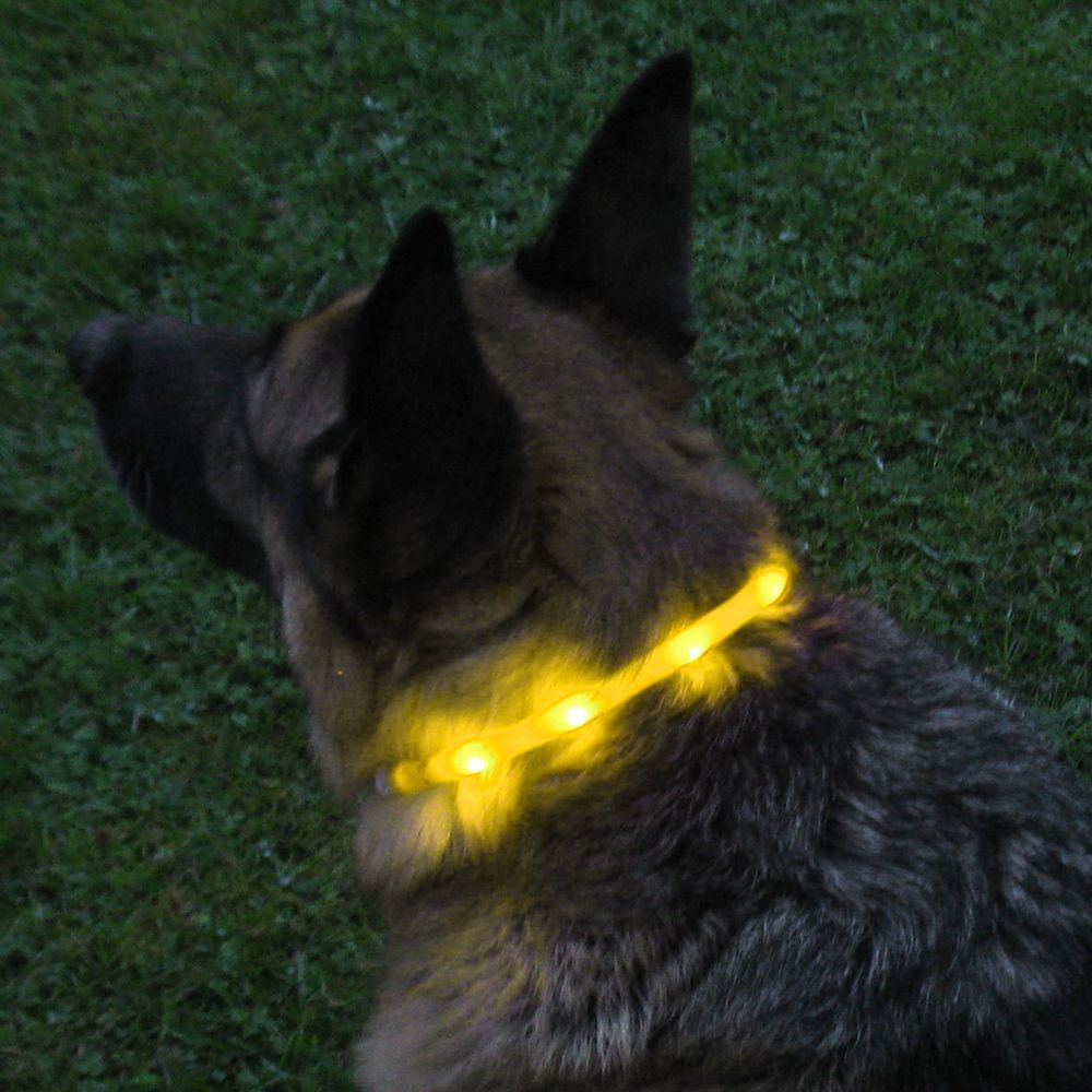 Nobby LED Leuchthalsband VISIBLE - S/M/L - Langhaar - Silikon Leuchtband Hund