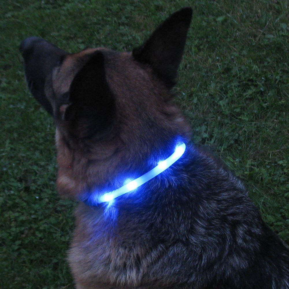 Nobby LED Leuchthalsband VISIBLE - S/M/L - Langhaar - Silikon Leuchtband Hund