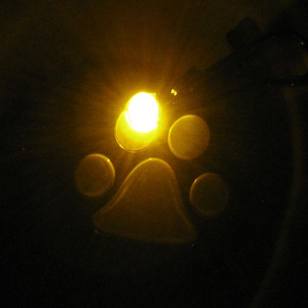 Nobby LED Leuchtanhänger Hund - Blinkanhänger LEDs Sicherheit leuchtend Anhänger