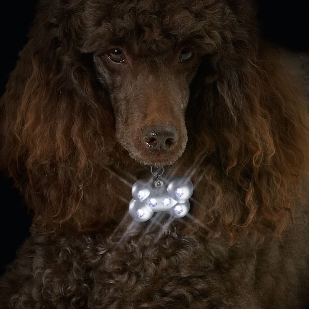 Nobby LED Leuchtanhänger Hund - Blinkanhänger LEDs Sicherheit leuchtend Anhänger