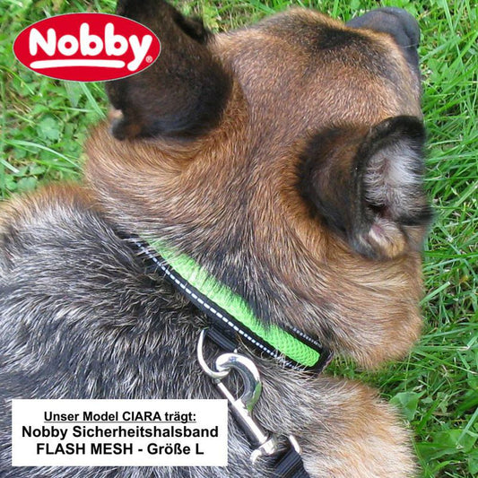 Nobby Sicherheitshalsband FLASH MESH - S/M/L - Leuchthalsband LED Halsband Hund