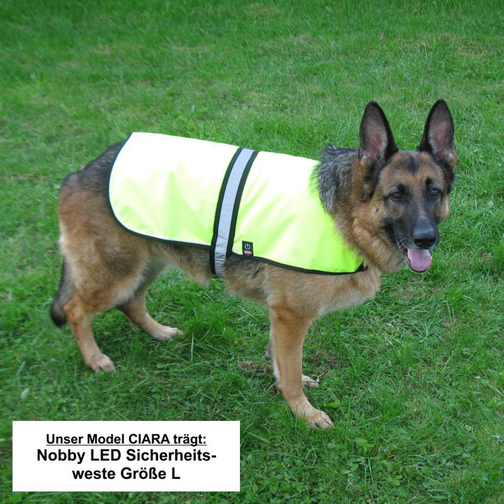 Nobby LED Sicherheitsweste neon gelb reflektierend Sicherheit Safety Weste Hund