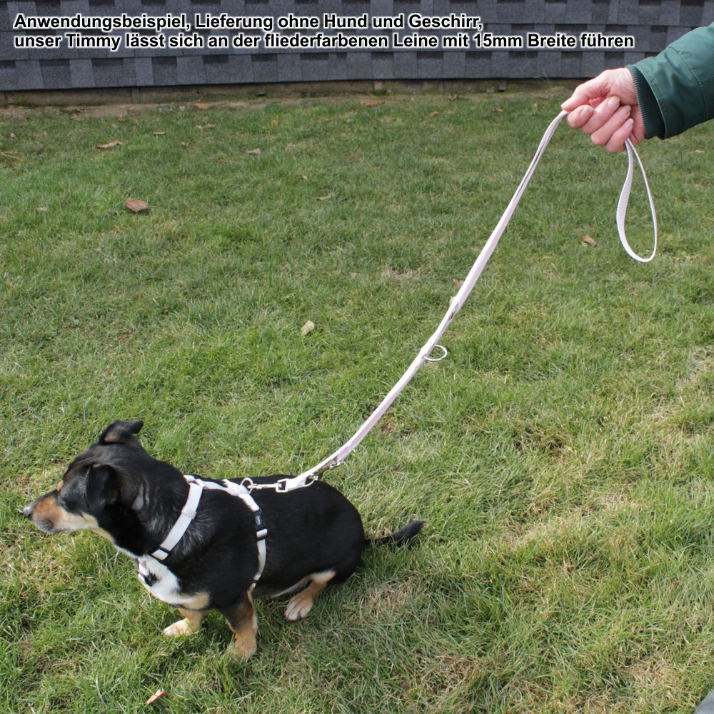Nobby Führleine CLASSIC 200 cm - 10/15/20/25 mm - Nylon Leine Hundeleine 2 m