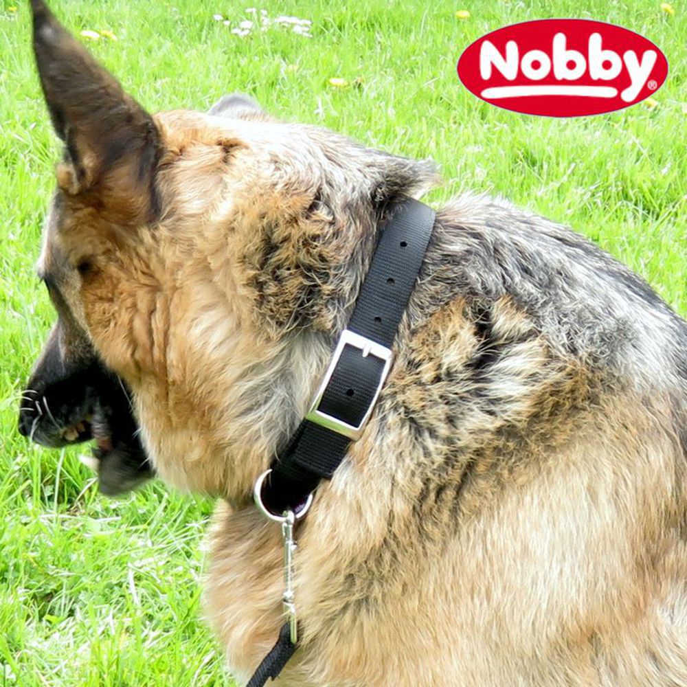 Nobby Halsband CLASSIC SOFT - S/M/L/XL/XXL - 3 Farben - Nylon Hundehalsband
