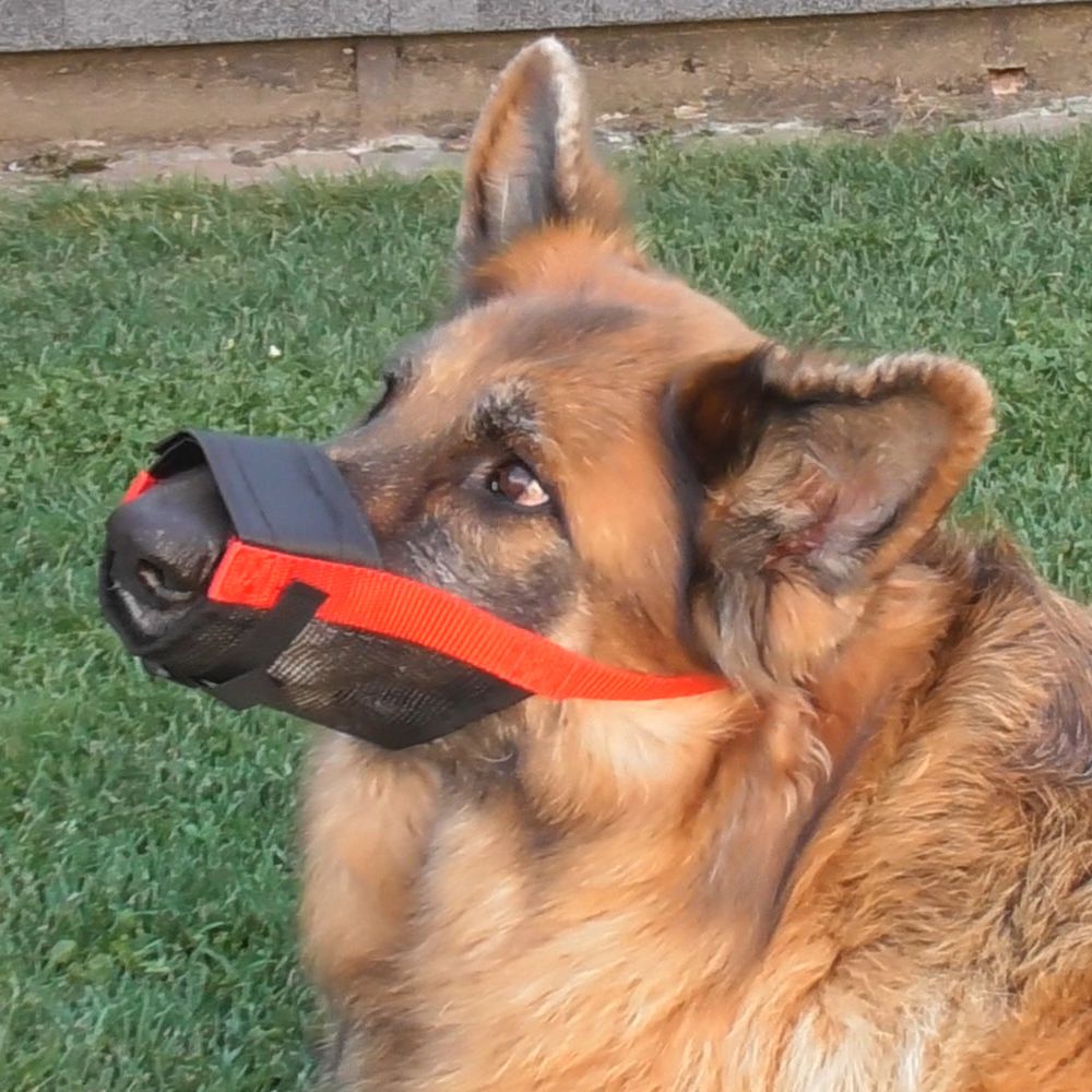 Nobby Maulkorb verstellbar - Größe Size 0/1/2/3/4 - Hundemaulkorb Nylon Hund