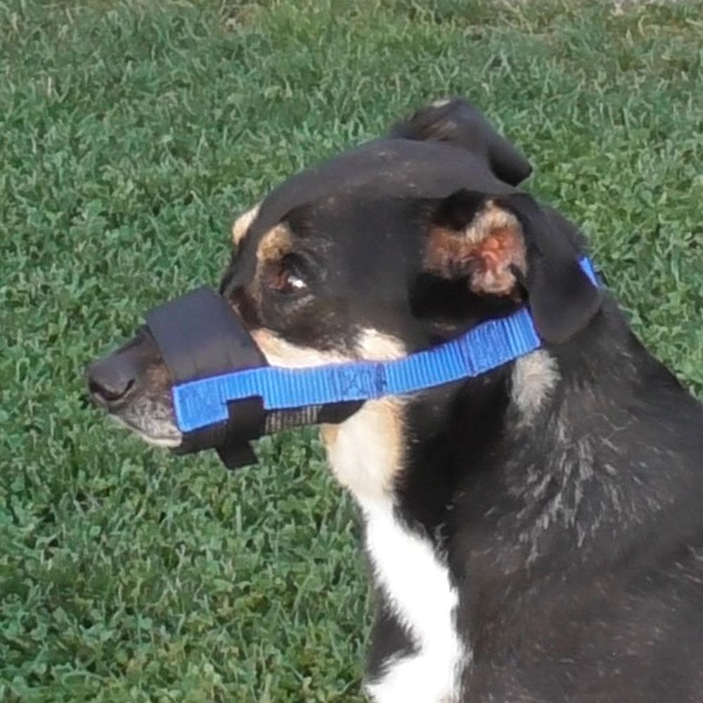 Nobby Maulkorb verstellbar - Größe Size 0/1/2/3/4 - Hundemaulkorb Nylon Hund