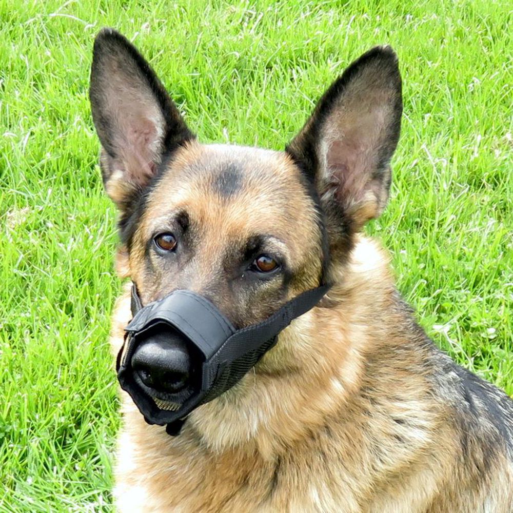 Nobby Maulkorb verstellbar - Größe Size 0/1/2/3/4 - Hundemaulkorb Nylon Hund