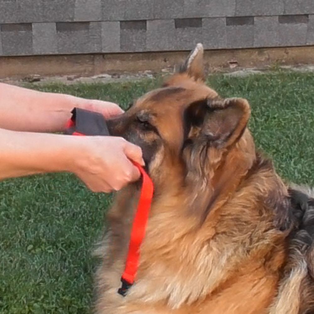 Nobby Maulkorb verstellbar - Größe Size 0/1/2/3/4 - Hundemaulkorb Nylon Hund