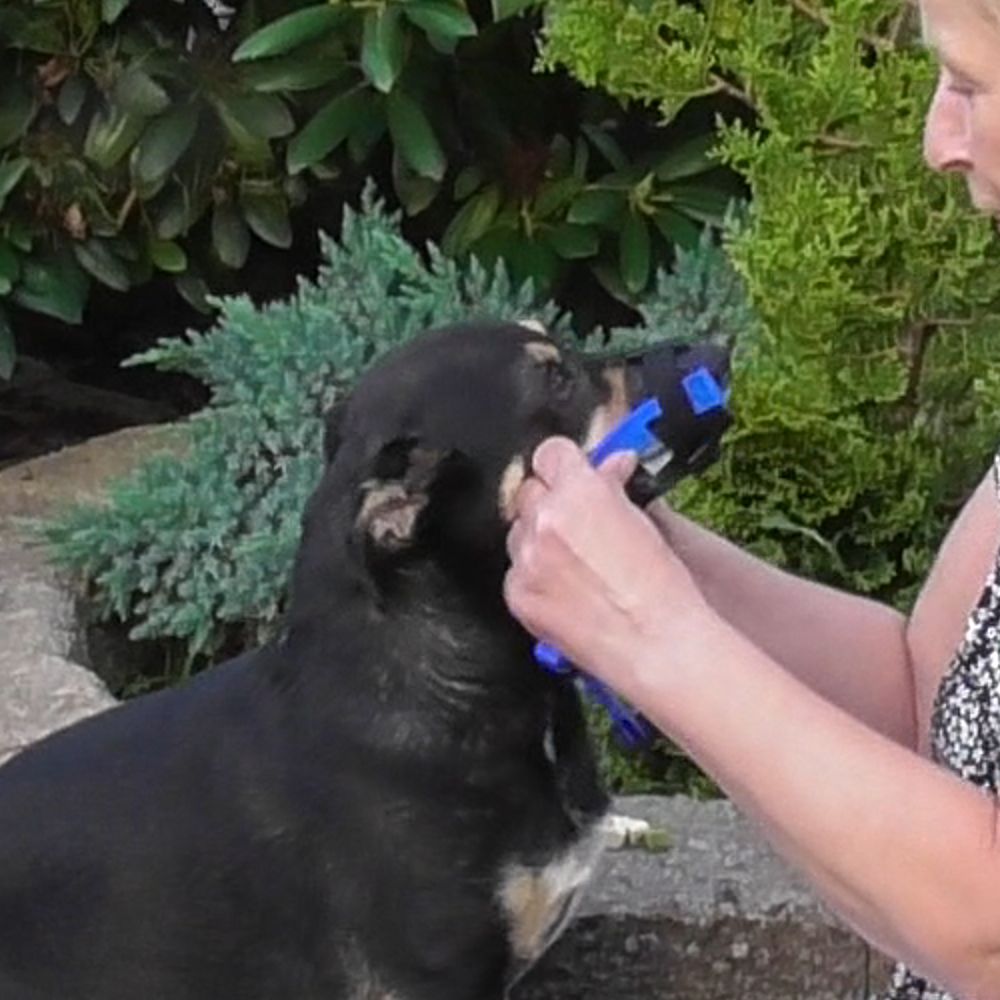 Nobby Maulkorb verstellbar - Größe Size 0/1/2/3/4 - Hundemaulkorb Nylon Hund