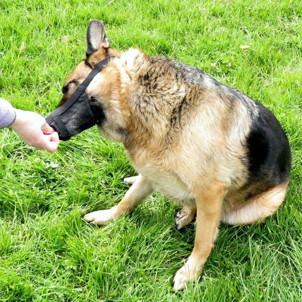 Nobby Maulkorb verstellbar - Größe Size 0/1/2/3/4 - Hundemaulkorb Nylon Hund