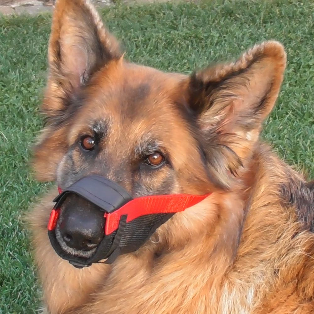 Nobby Maulkorb verstellbar - Größe Size 0/1/2/3/4 - Hundemaulkorb Nylon Hund