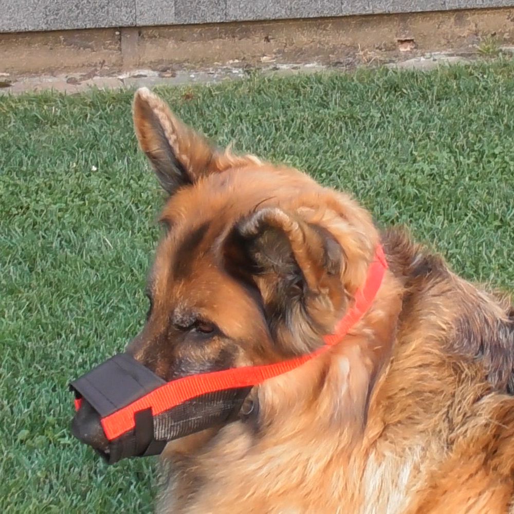 Nobby Maulkorb verstellbar - Größe Size 0/1/2/3/4 - Hundemaulkorb Nylon Hund