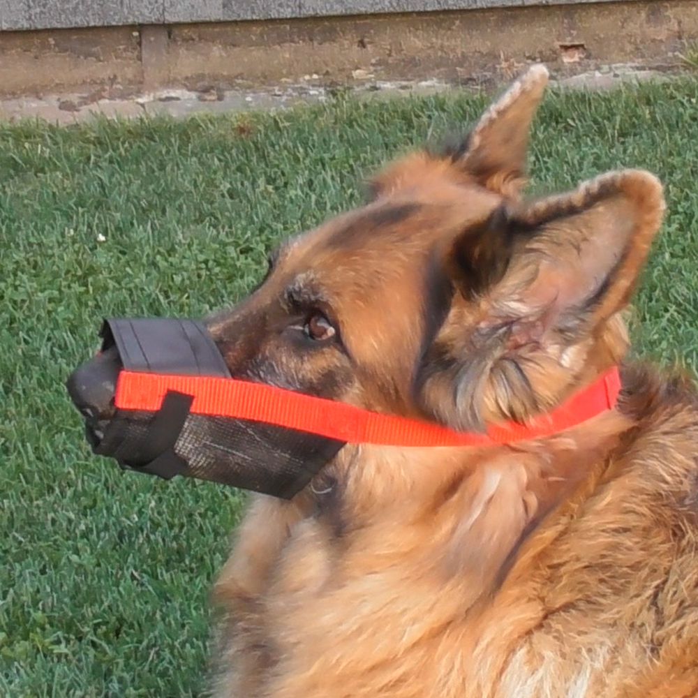 Nobby Maulkorb verstellbar - Größe Size 0/1/2/3/4 - Hundemaulkorb Nylon Hund