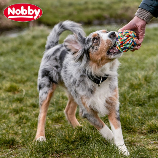 Nobby Knotenseil-Ball - S/M/L - Baumwolle - Kauspielzeug Apportierspielzeug