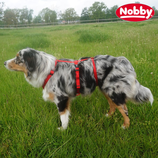 Nobby Sicherheitsgeschirr TURVA - Nylon + Neopren - Panikgeschirr Hundegeschirr
